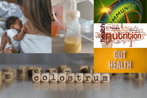 Colostrum